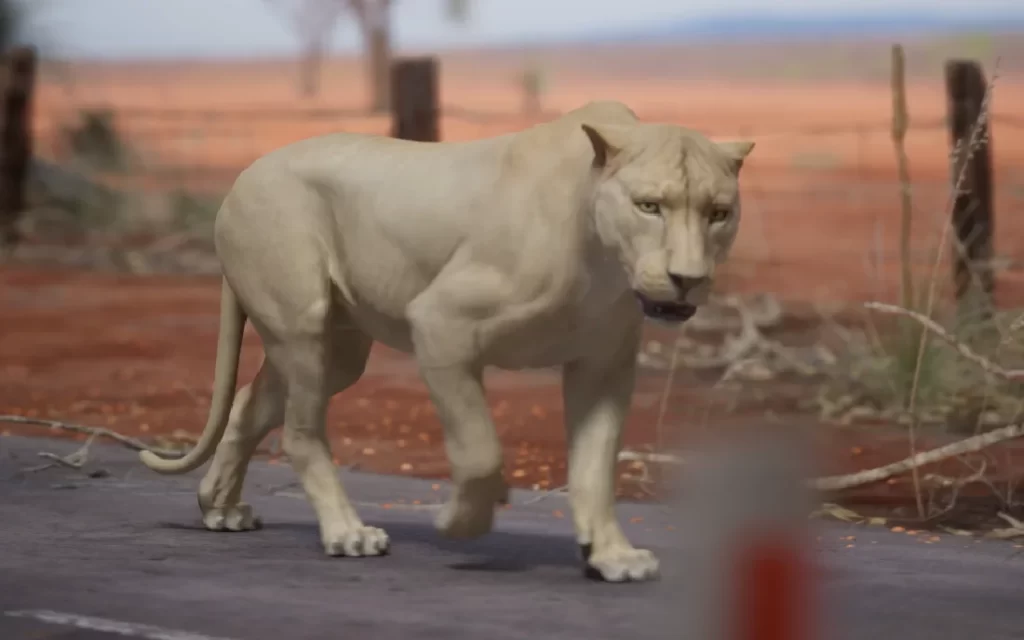 Creature Animation Course