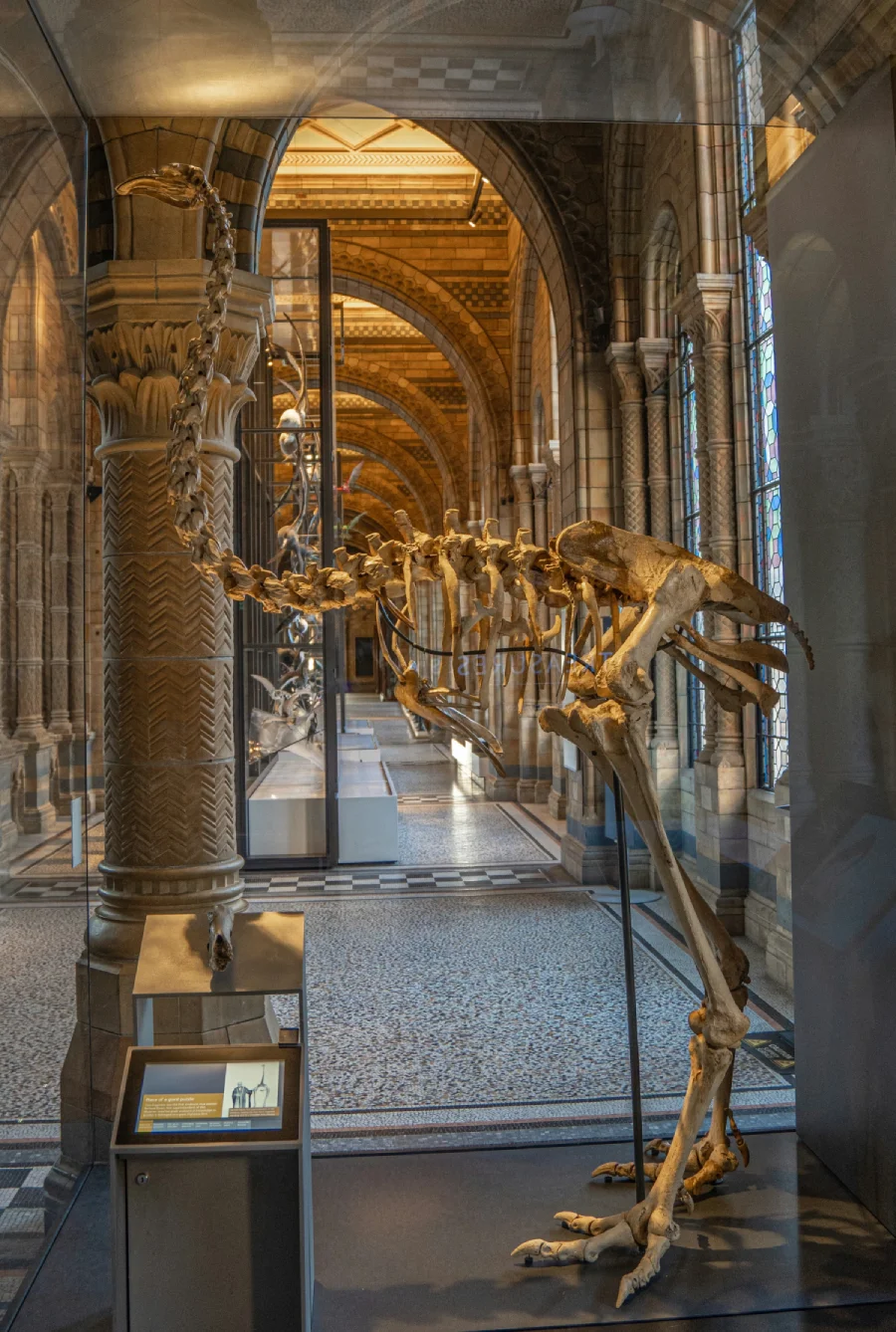 Dinosaur animation workflow — spine rigidity and anatomical constraints